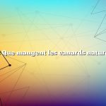 Question : Que mangent les canards naturellement ?